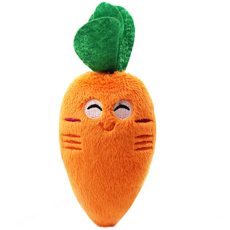 Smiley Carrot