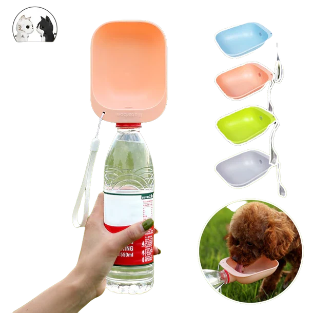 Outdoor Bowl Bottle