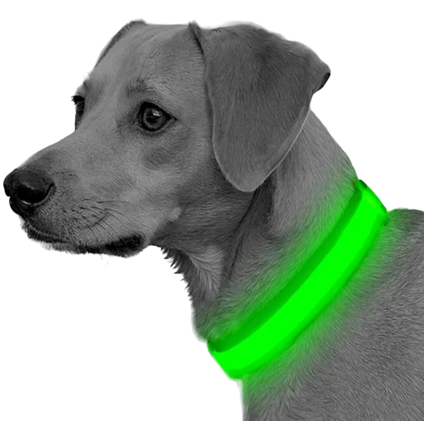 Reflective Collar