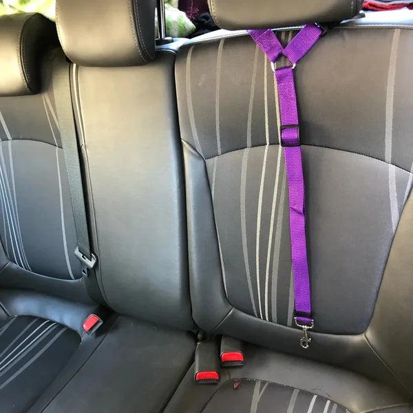 Car seat belt