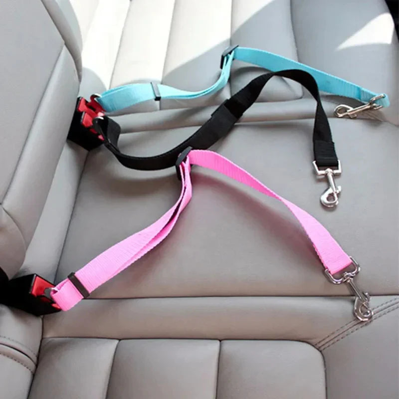 Car Leash 3